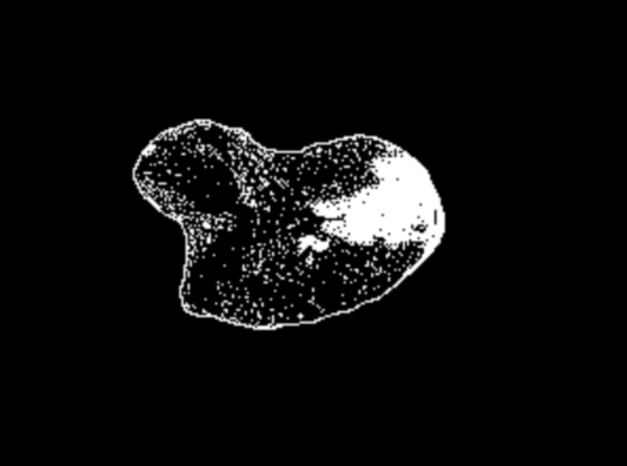 Oiia Cat screenshot