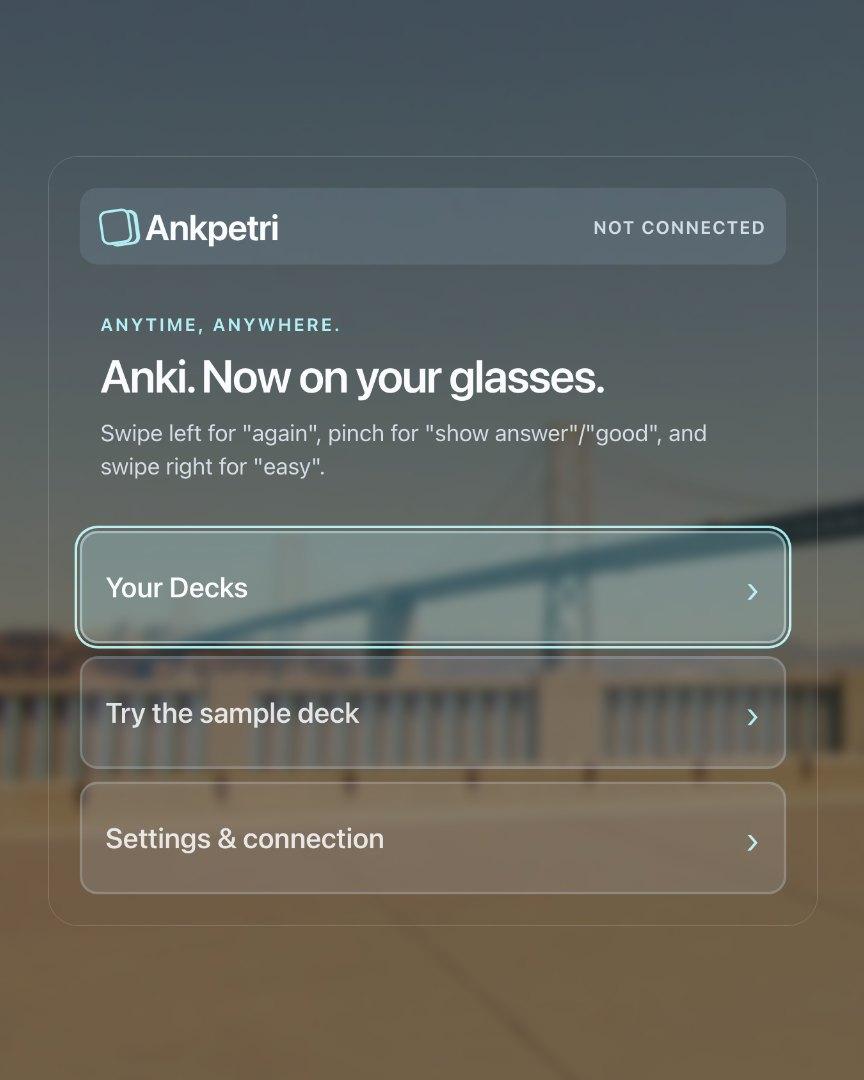 Anki for Glasses screenshot
